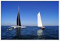 Tabarly_50eme