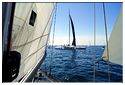 Tabarly_50eme