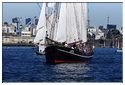 Brest_2016_Sortie_Gulden_Leeuw Iris