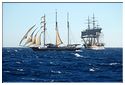 TSR Med 2013 Gulden Leeuw et Amerigo Vespucci