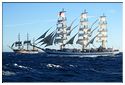 TSR Med 2013 Amerigo Vespucci et Mir