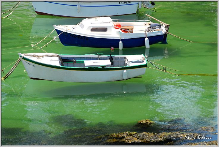 c Port de La Meule 2010